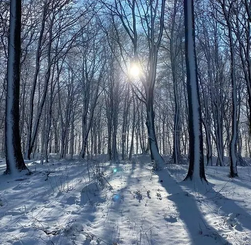 Ferienloft Ottos Werkstatt Mit Saunafass
